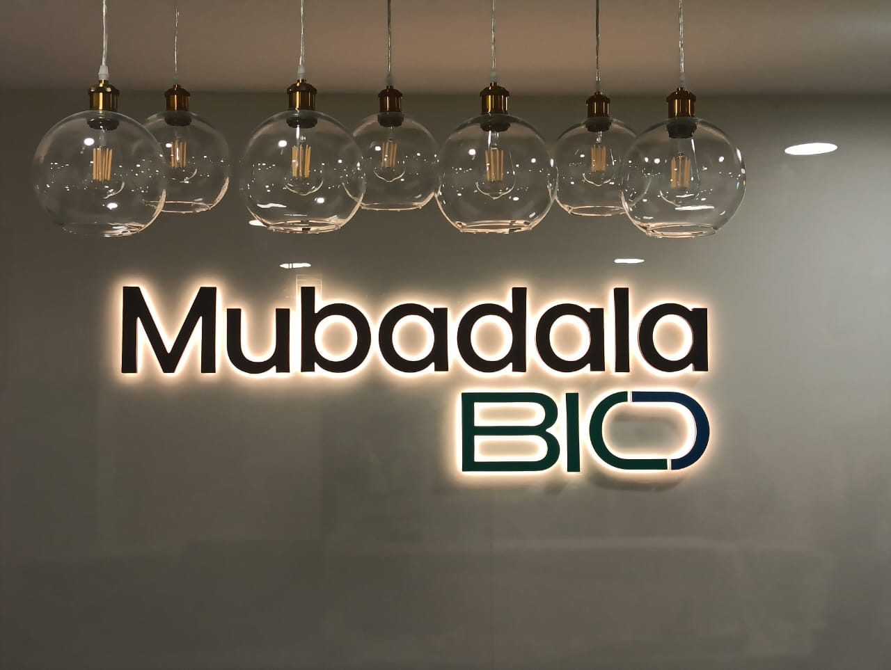 WhatsApp Image 2025-08-08 at 6.53.18 PM